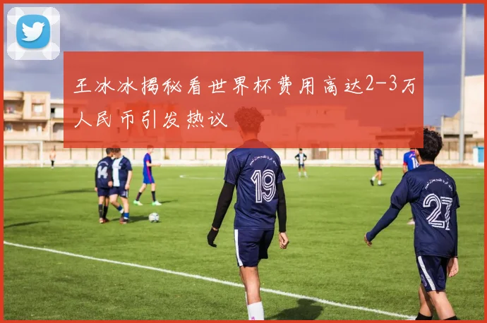 王冰冰揭秘看世界杯费用高达2-3万人民币引发热议